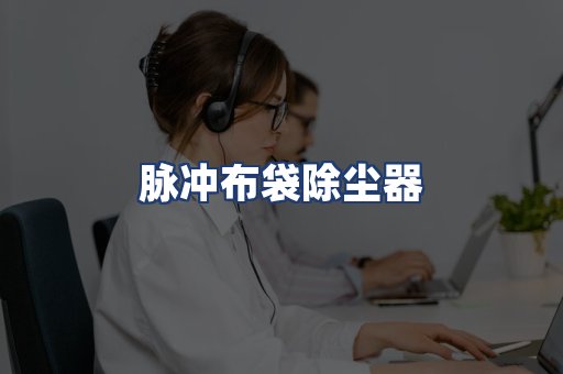 脉冲布袋除尘器